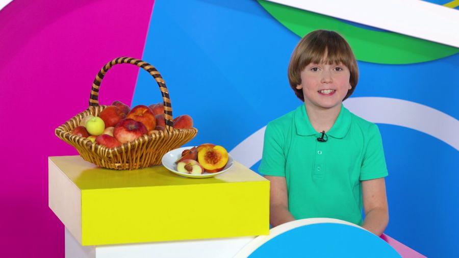 Навигатор. Новости. Выпуск 1074