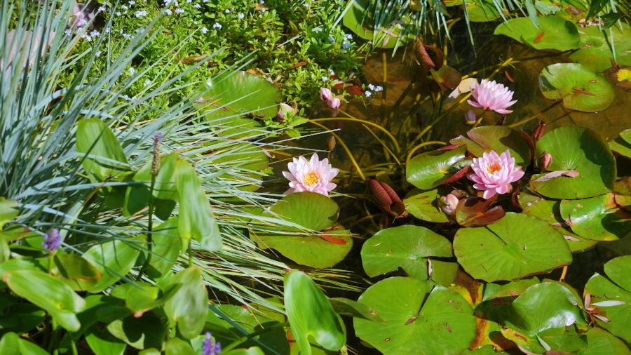 Навигатор. Новости. Выпуск 1082