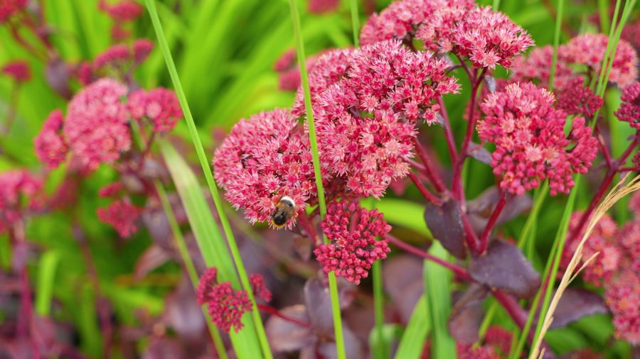 Навигатор. Новости. Выпуск 1080