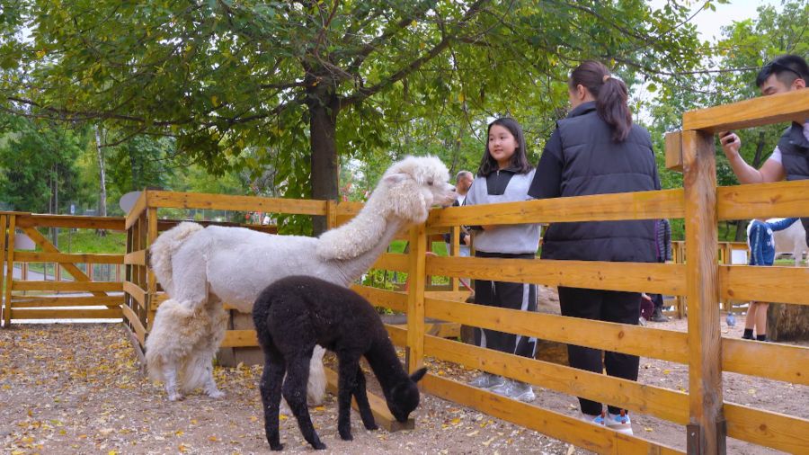 Навигатор. Новости. Выпуск 1257