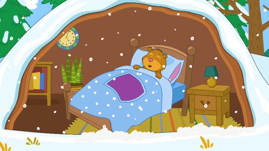 Всё, что вы хотели знать! Выпуск 13