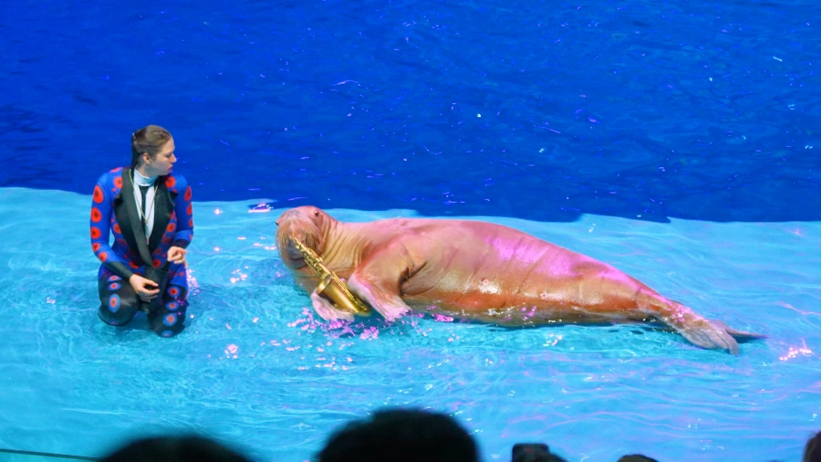 Навигатор. Новости. Выпуск 1276