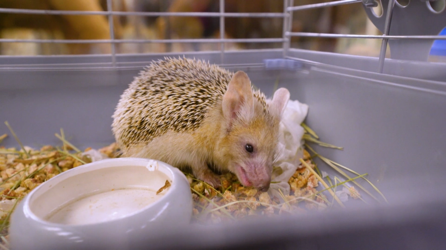 Навигатор. Новости. Выпуск 1277