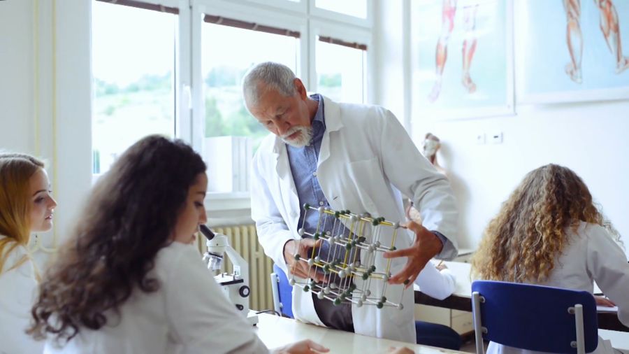 Всё, что вы хотели знать. Выпуск 15