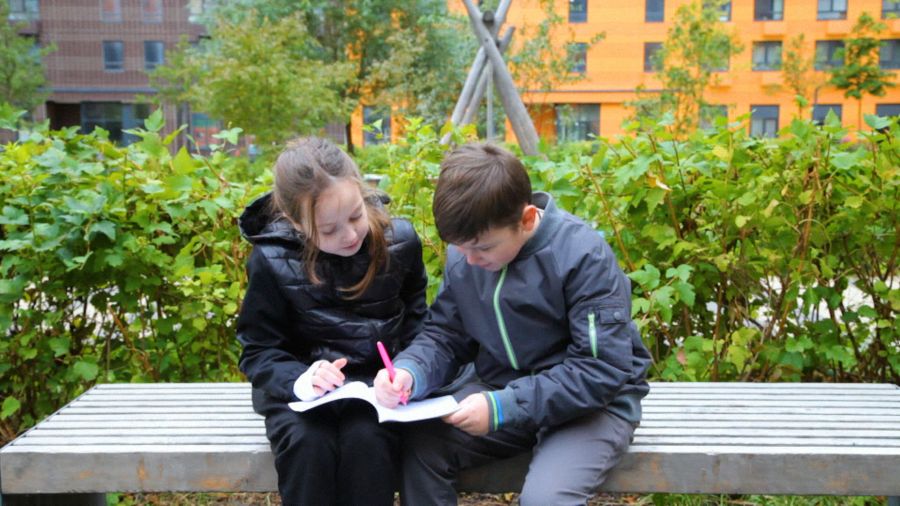 Всё, что вы хотели знать. Выпуск 23