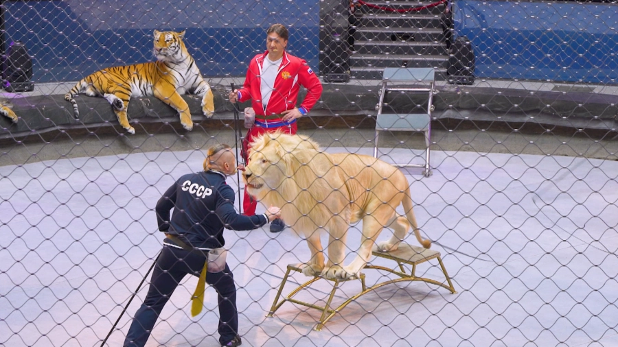 Навигатор. Новости. Выпуск 1291