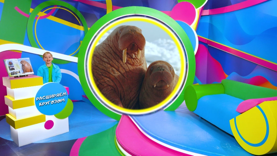 Навигатор. Новости. Выпуск 1295