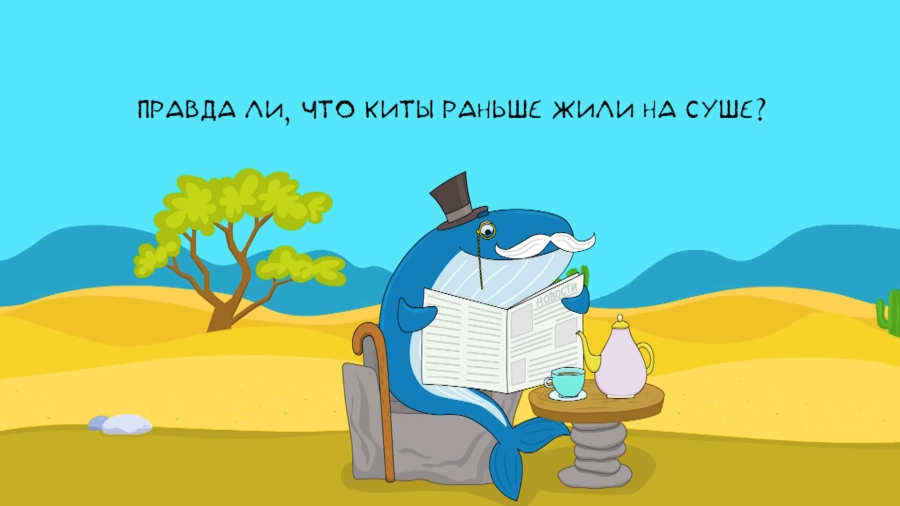 Всё, что вы хотели знать! Выпуск 28