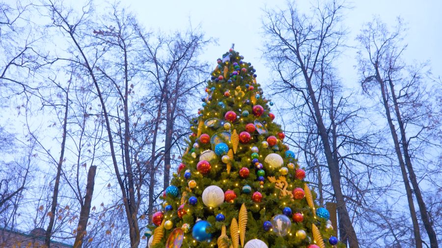 Навигатор. Новости. Выпуск 1311