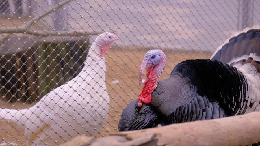 Навигатор. Новости. Выпуск 1321