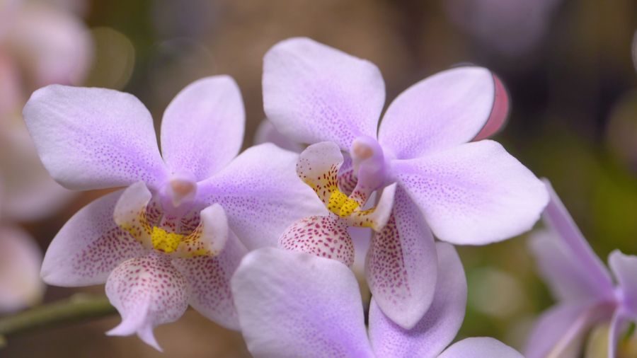 Навигатор. Новости. Выпуск 1327