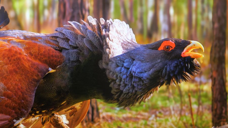 Навигатор. Новости. Выпуск 1341