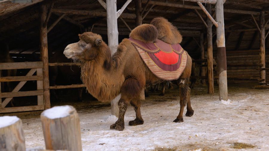 Навигатор. Новости. Выпуск 1345