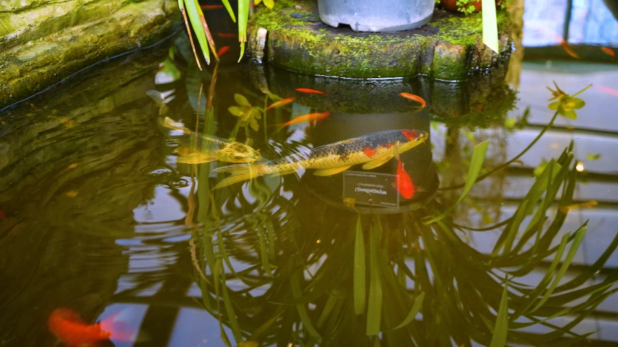 Навигатор. Новости. Выпуск 1370