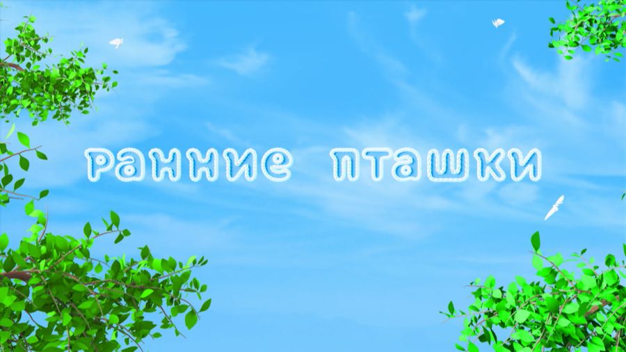 Ранние пташки