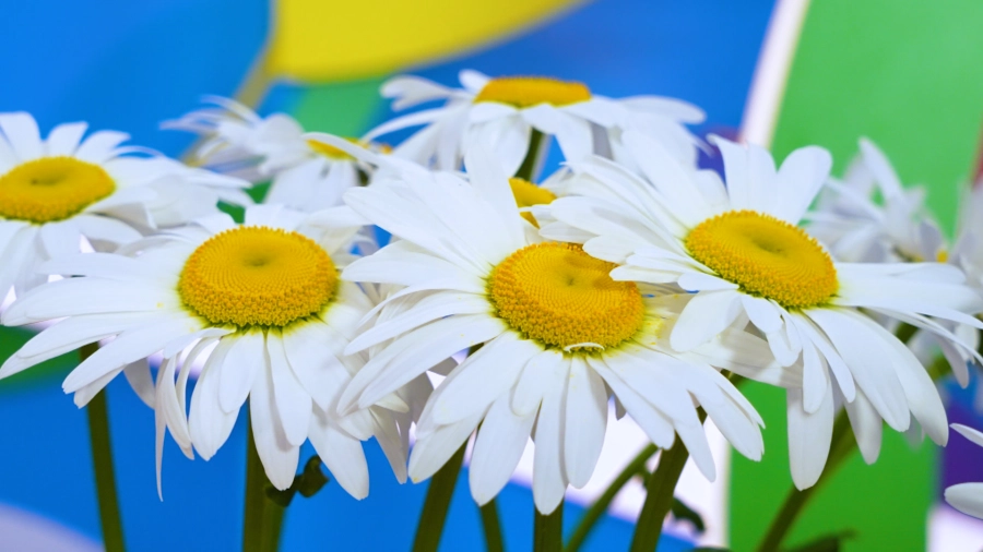 Навигатор. Новости. Выпуск 1403
