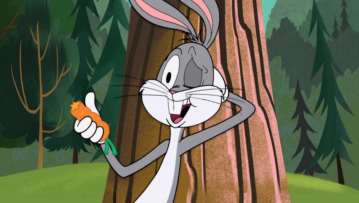 Мультсериал «Новые Луни Тюнз» – детские мультфильмы на канале Карусель
