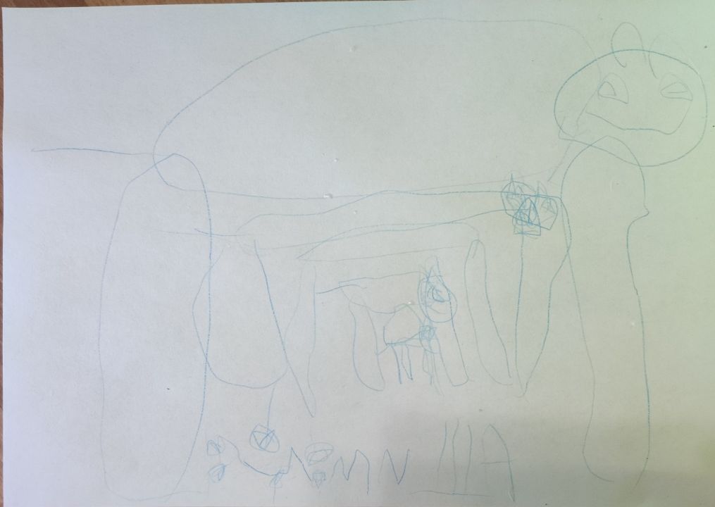 Шмель Михаил