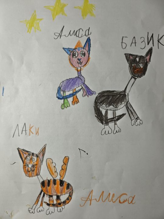 Алиса 11