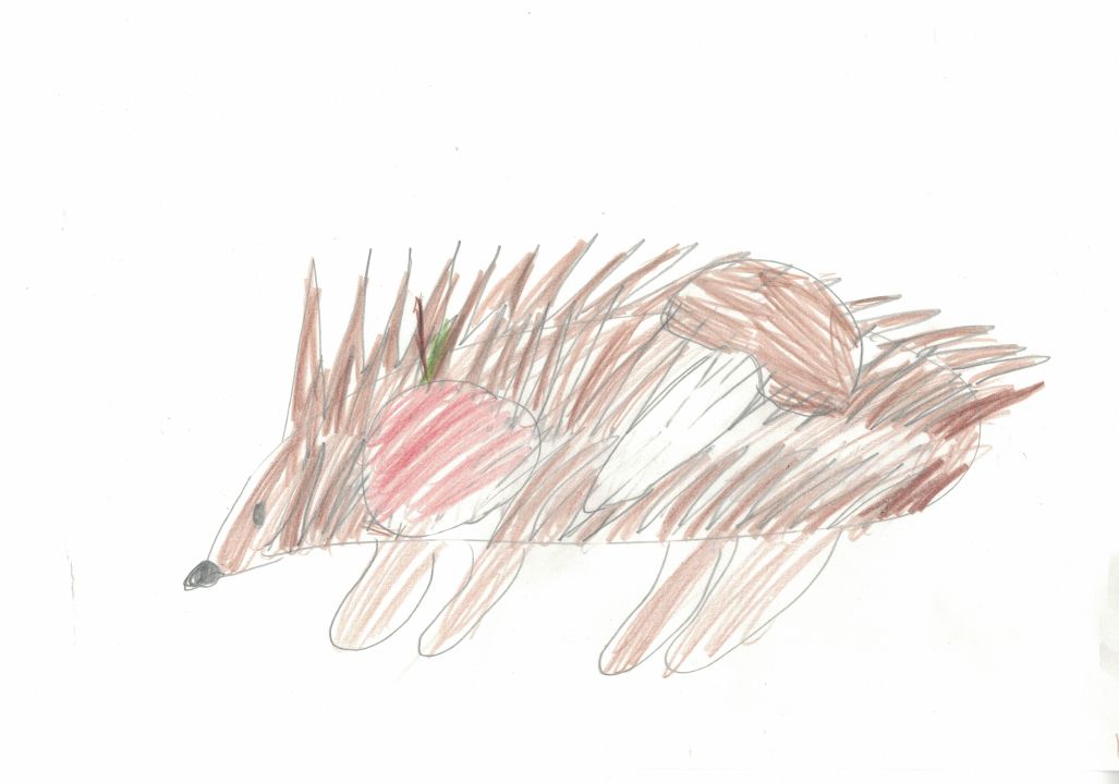 Амелия