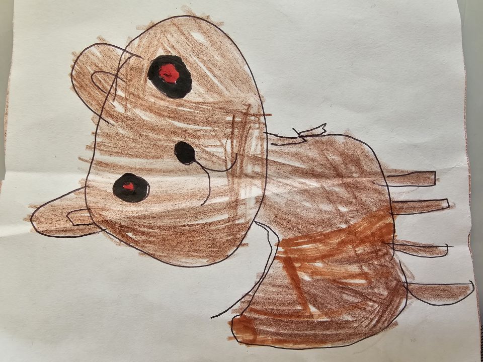 id1138691