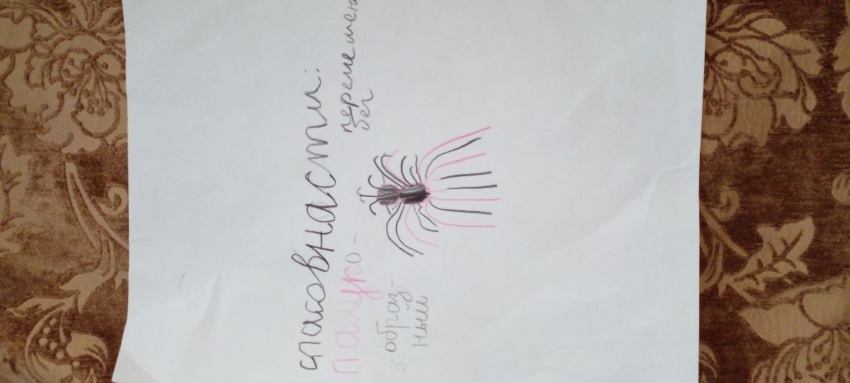 Асият Манафовна Голаева