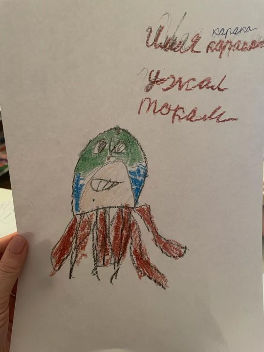 Дмитрий Александрович Андрюшенков