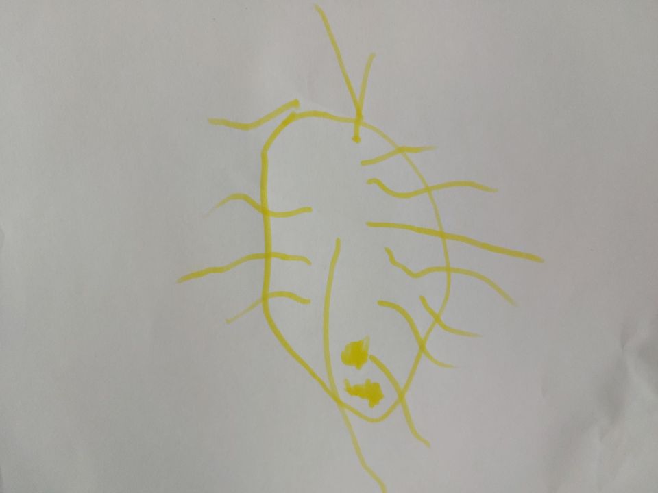 Тимофей Беляев