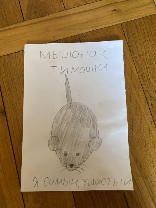 Эмиль Иванович Тугашев