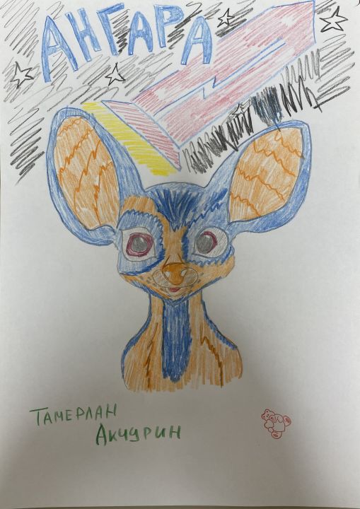 Тамерлан Рустамович Акчурин