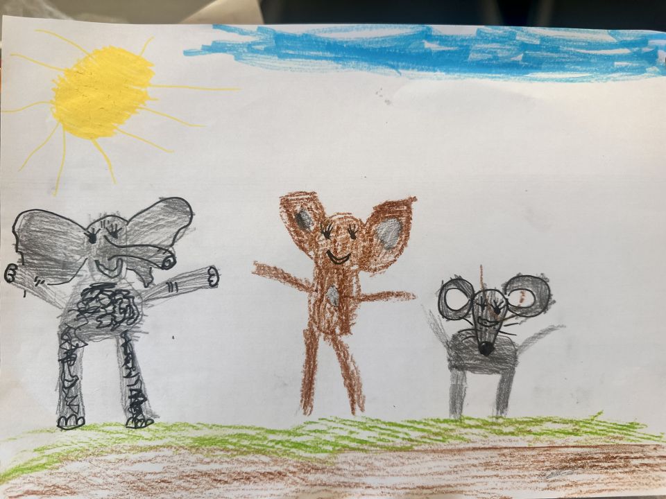 Тимур Алмазович Заббаров