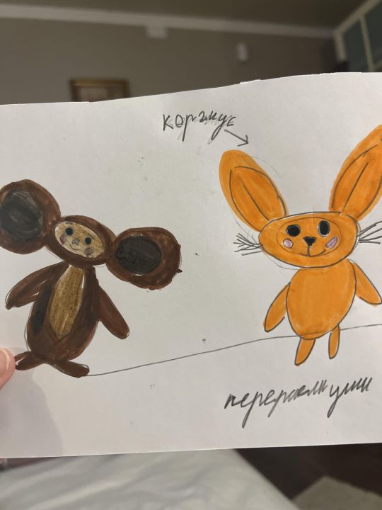 Дана Владимировна Городинская