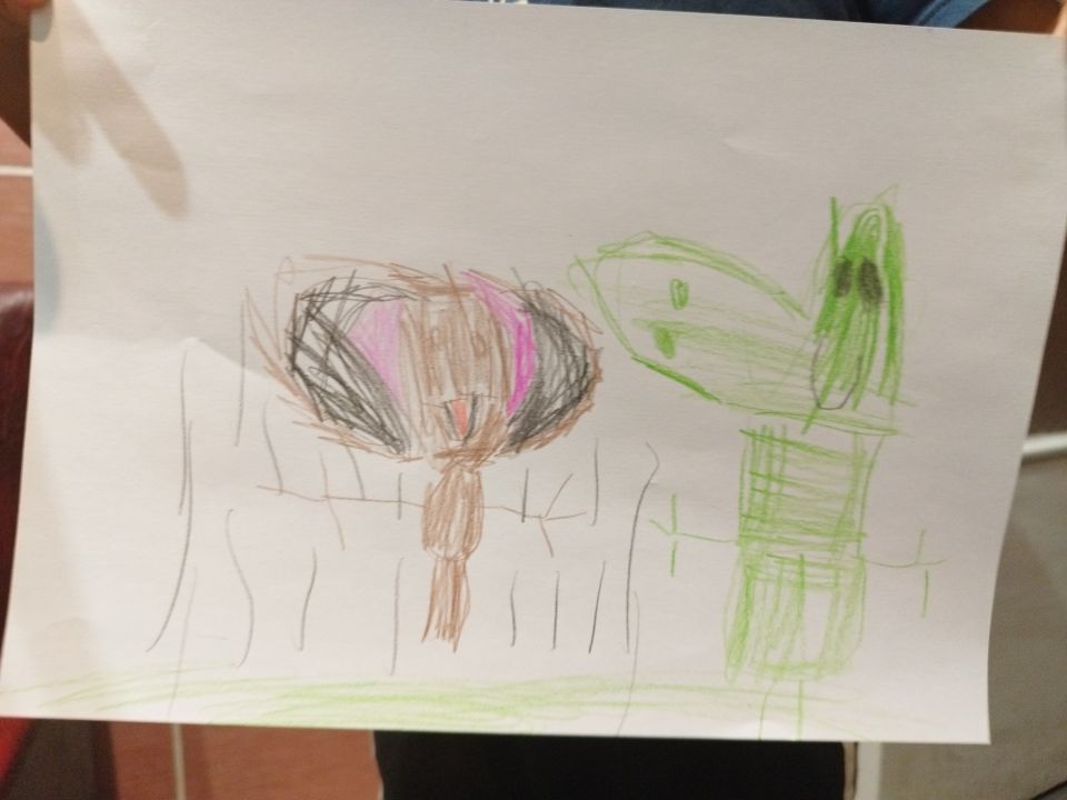 Алишер Фархадович Хурсанов