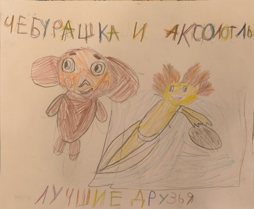 Айза Интигам кызы Маммадова