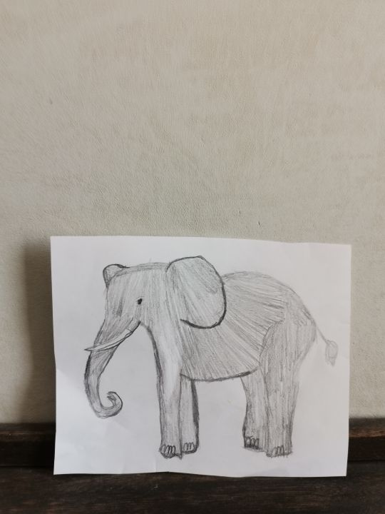 Глеб Артемович Левченко