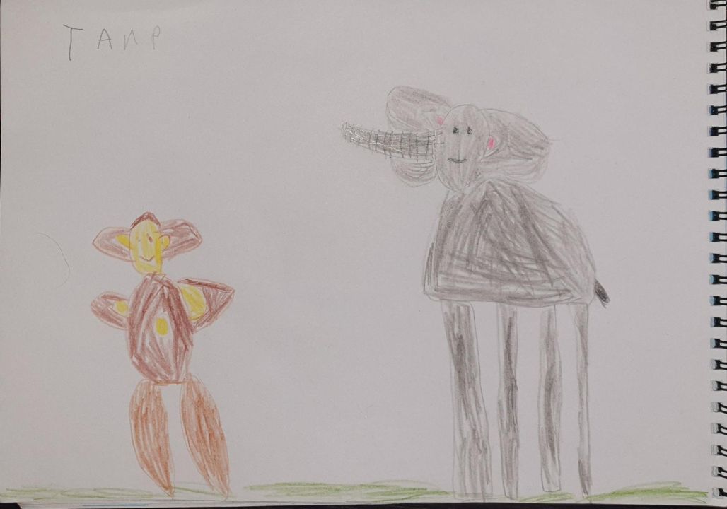 Таир Ренатович