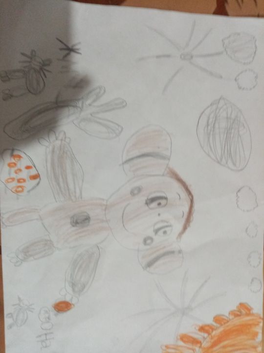 Дмитрий Сергеевич Тимошенко