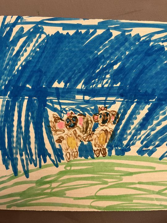 Елизавета Владимировна Сухотина