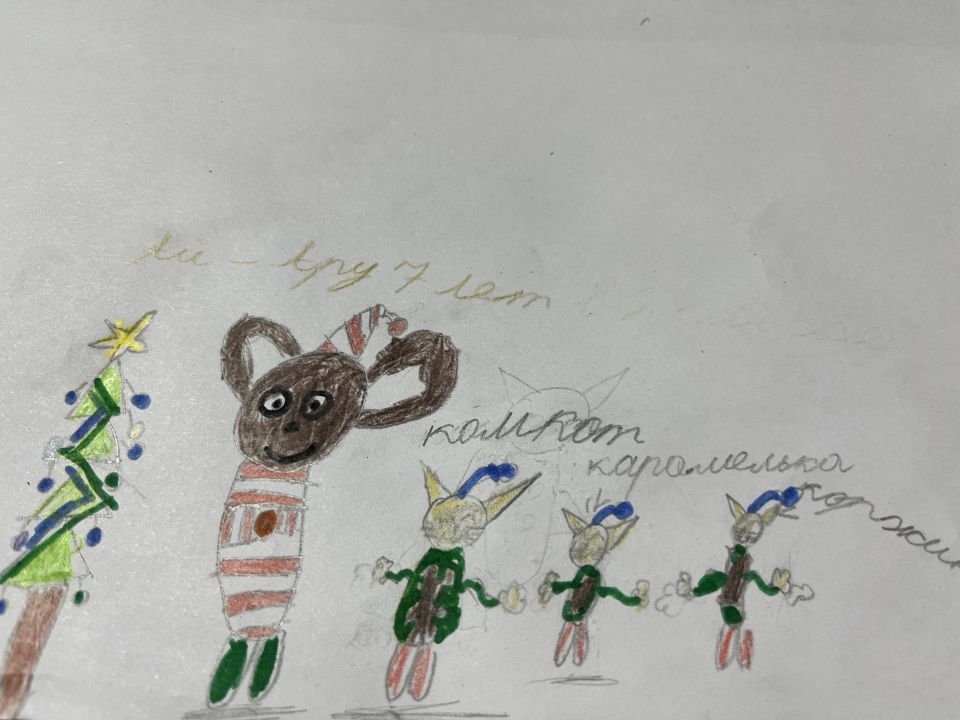 Ай-Ару Аржановна Енчинова