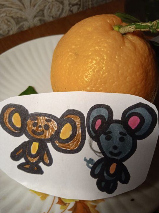 Дарья Вадимовна Коляда