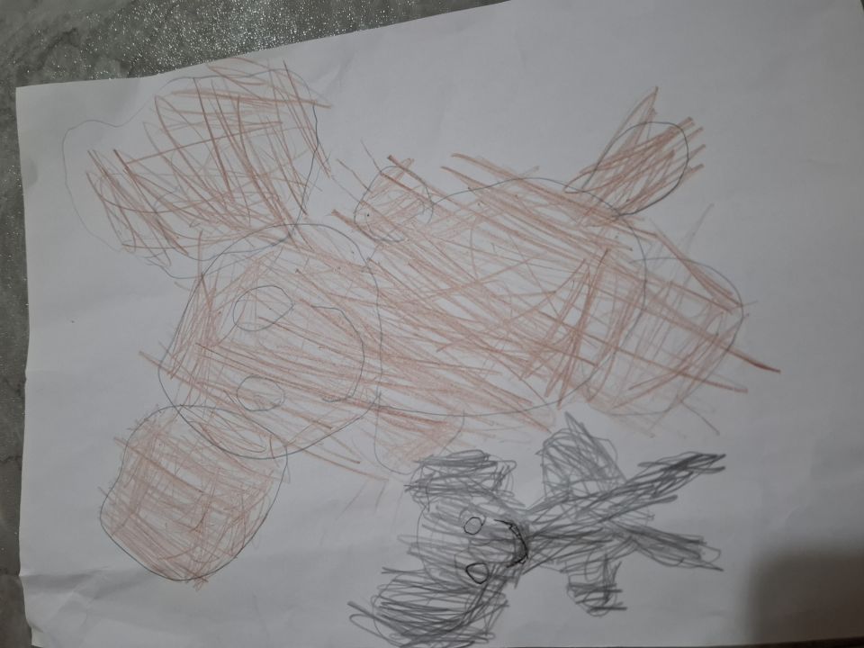 Мирослав Алексеевич Пущаев