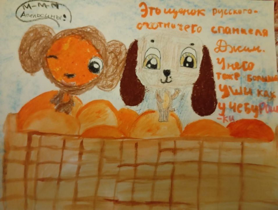 Софья Александровна Рудакова