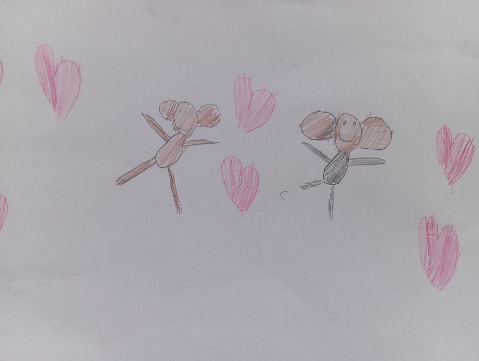 Вера Морозова