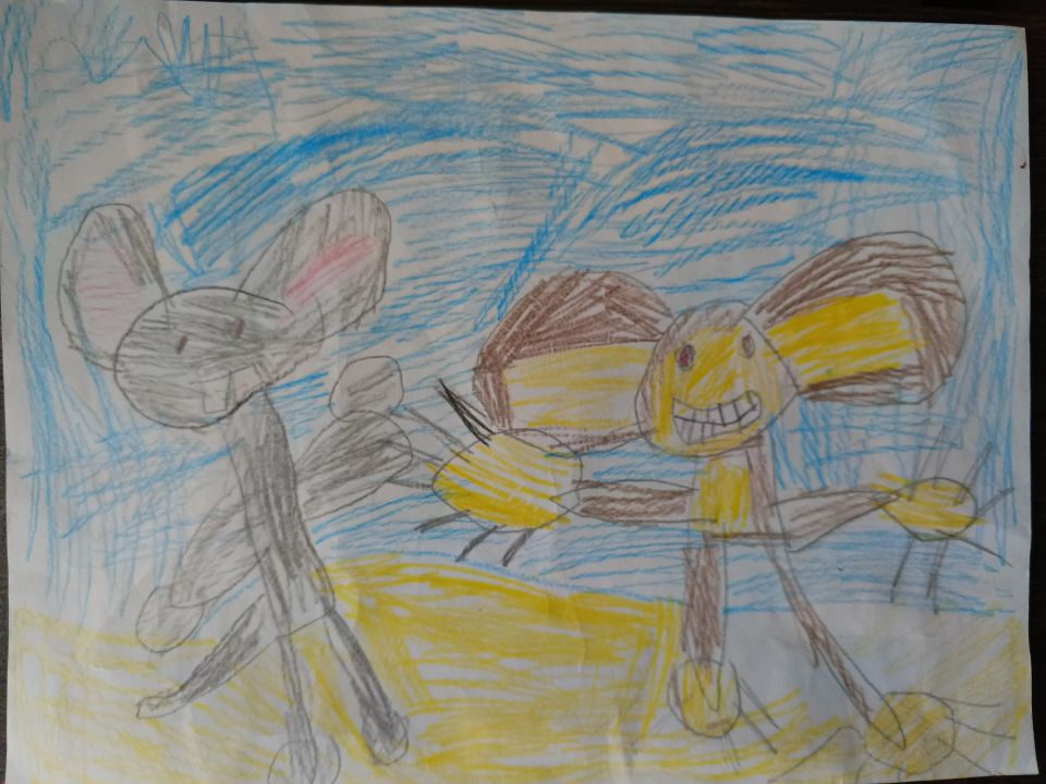 Дарья Александровна Сапожникова