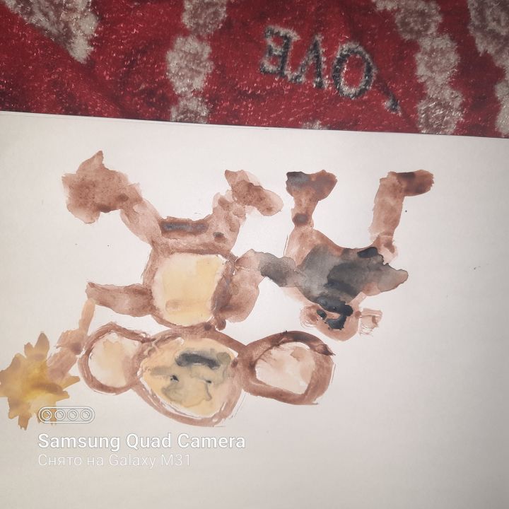 Игнат Игоревич Шадрин