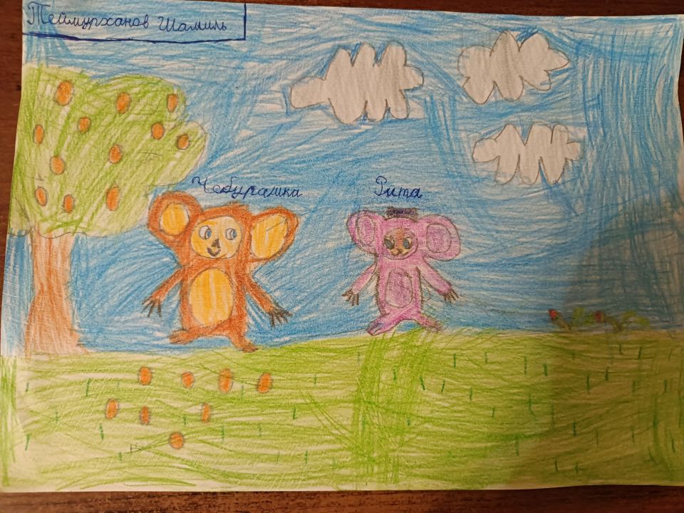 Шамиль Фикратович Теймурханов