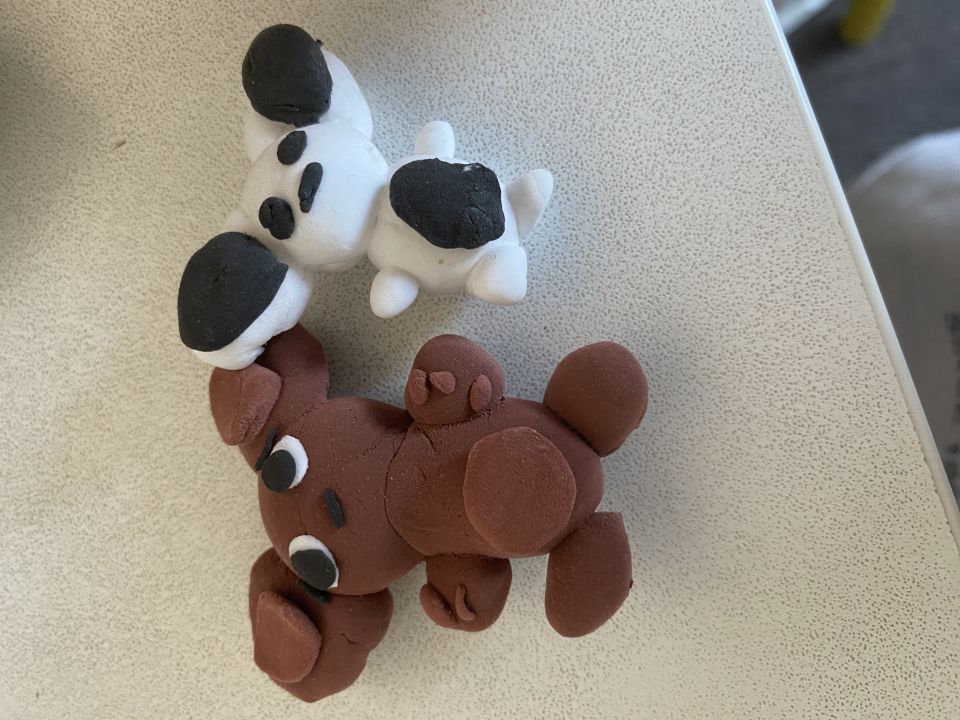 Арина Евгеньевна Дорохова