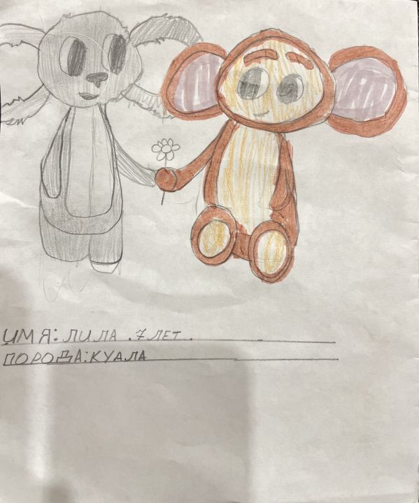 Юлия Дмитриевна Алсаханова