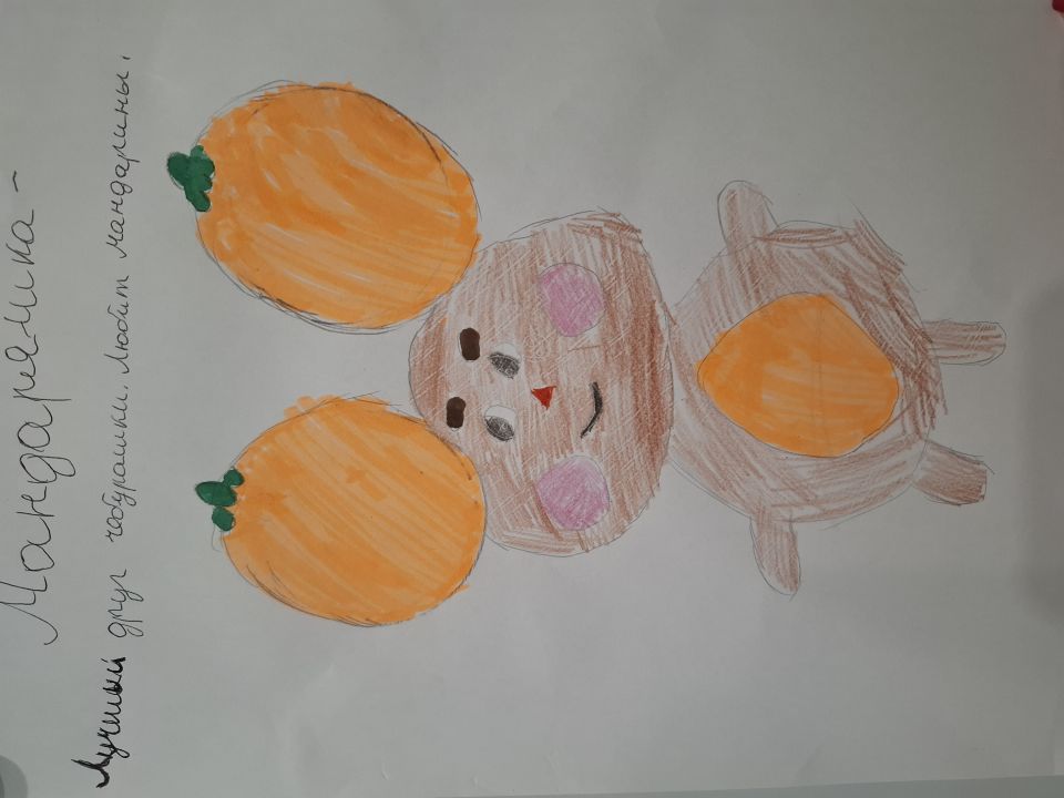 Елизавета Валерьевна Кудрявцева