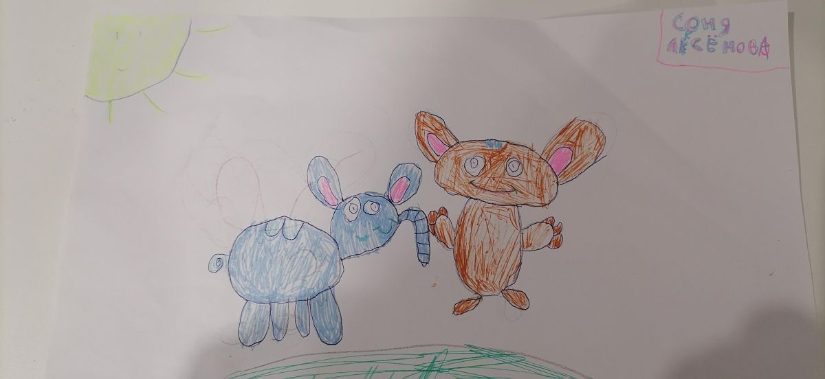 София Валерьевна Аксенова